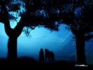 �������: Long way home